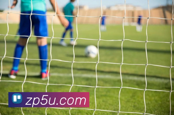 开云app服务体系